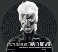 Los tesoros de David Bowie