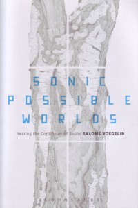 Sonic Possible Worlds. Hearing the Continuum of Sound