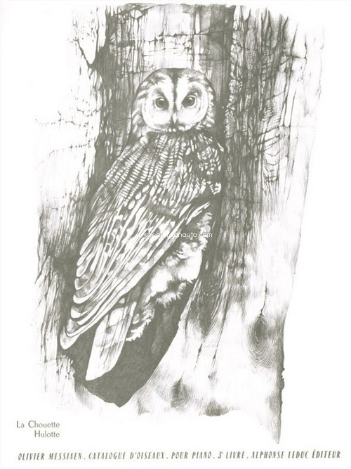 Catalogue d'Oiseaux, livre 3, pour piano