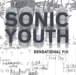 Sonic Youth : Sensational Fix. 9783865605399