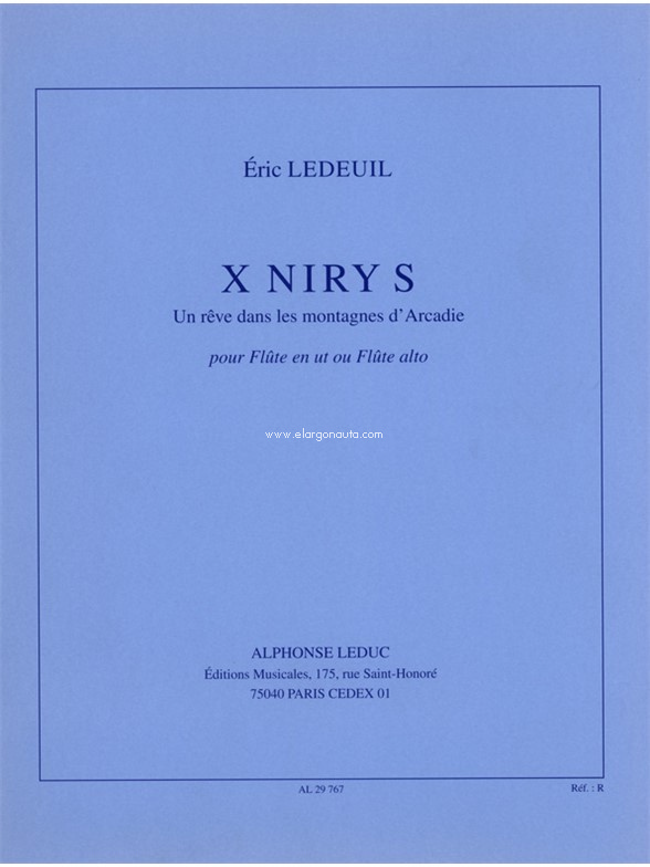 X Niry S, Flute/Recorder