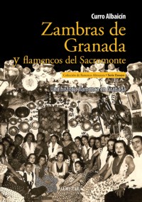 Zambras de Granada y flamencos del Sacromonte. 9788492924752