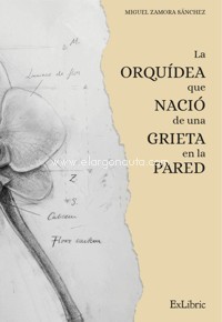 La orquídea que nació de una grieta en la pared