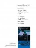 Triosonate G-dur BWV 1039: for 2 Flutes and Basso continuo. 9790004503119